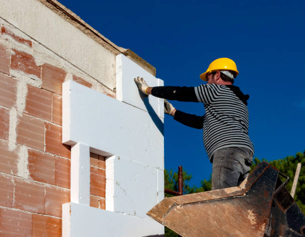 Best Specialized Insulation Services in Ludington, MI