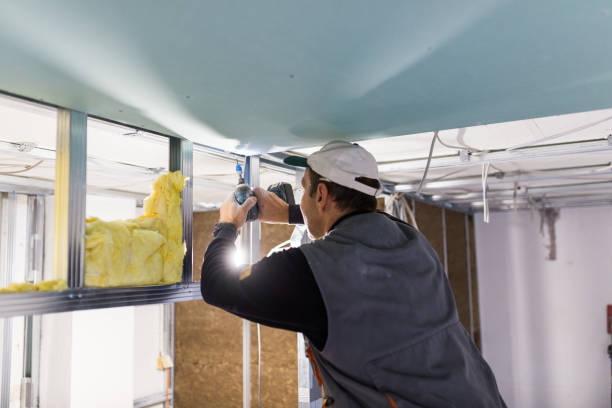 Best Geographic-Specific Insulation Services in Ludington, MI