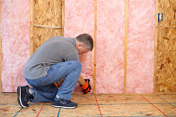 Best Cellulose Insulation in Ludington, MI