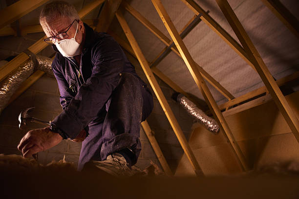 Best DIY Insulation Kits and Guidance in Ludington, MI